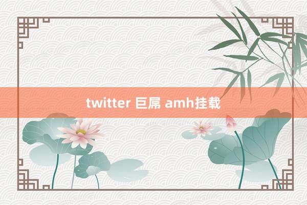 twitter 巨屌 amh挂载