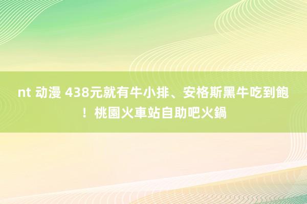 nt 动漫 438元就有牛小排、安格斯黑牛吃到飽！桃園火車站自助吧火鍋