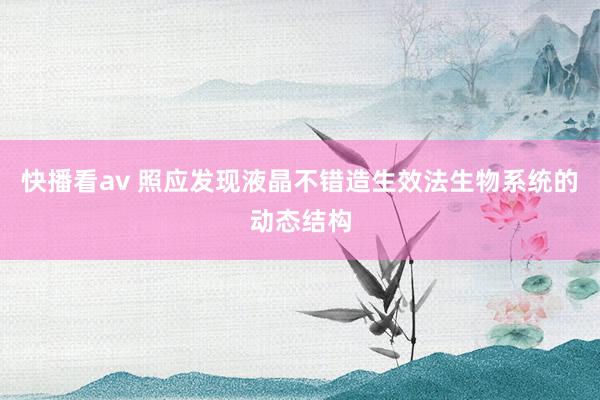 快播看av 照应发现液晶不错造生效法生物系统的动态结构