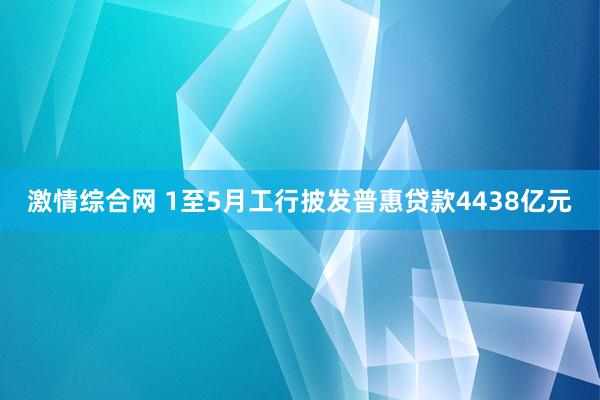 激情综合网 1至5月工行披发普惠贷款4438亿元