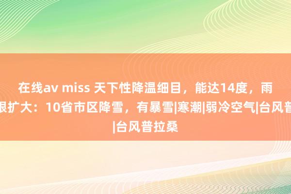 在线av miss 天下性降温细目，能达14度，雨雪界限扩大：10省市区降雪，有暴雪|寒潮|弱冷空气|台风普拉桑