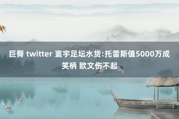 巨臀 twitter 寰宇足坛水货:托雷斯值5000万成笑柄 欧文伤不起