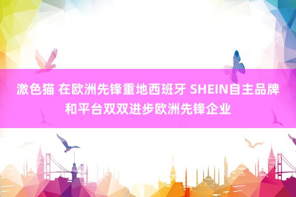 激色猫 在欧洲先锋重地西班牙 SHEIN自主品牌和平台双双进步欧洲先锋企业